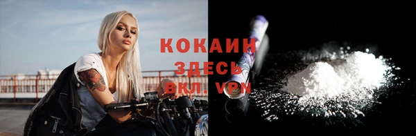 крисы Медвежьегорск