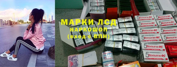 крисы Медвежьегорск
