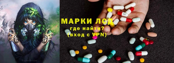 apvp Магас