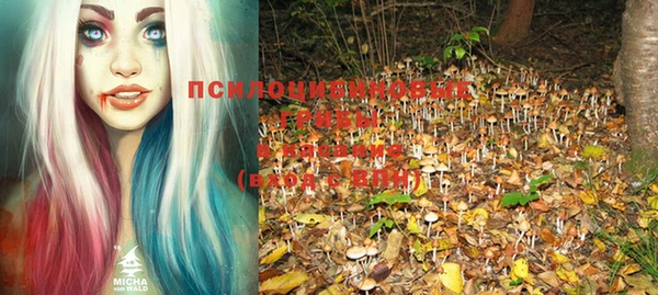 крисы Медвежьегорск