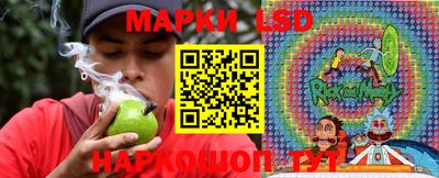 шишки Берёзовский