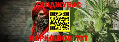 шишки Берёзовский