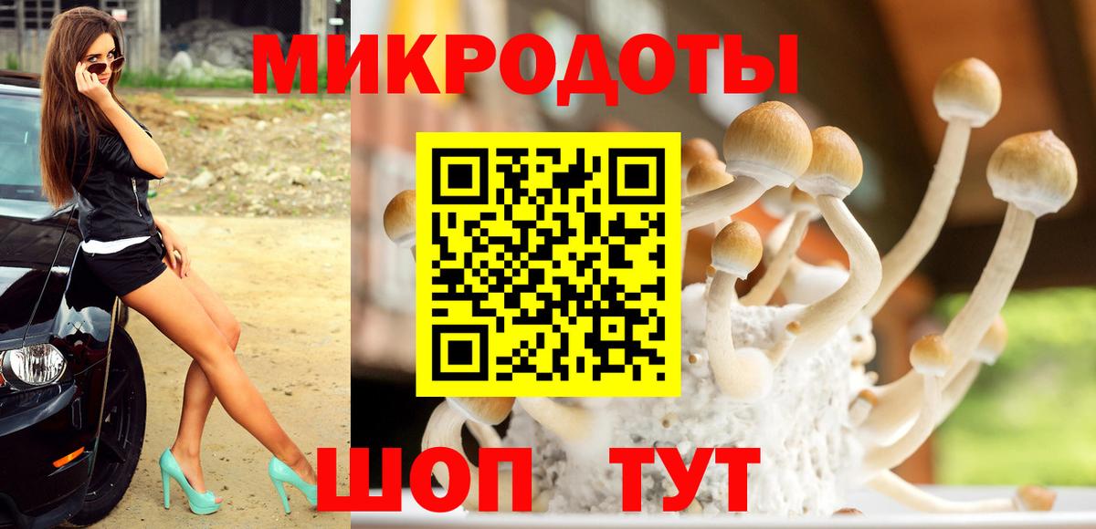 Псилоцибиновые грибы Magic Shrooms Киреевск