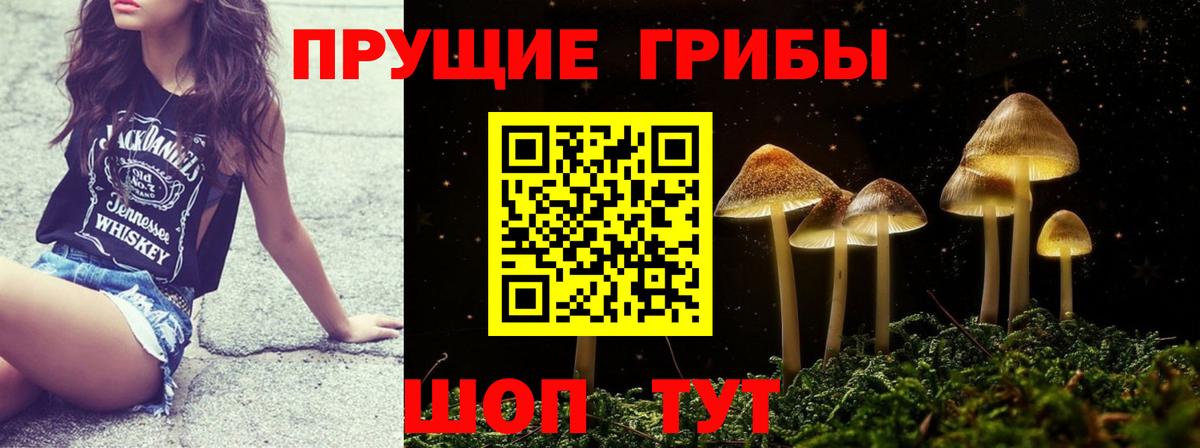 Галлюциногенные грибы Psilocybine cubensis Киреевск
