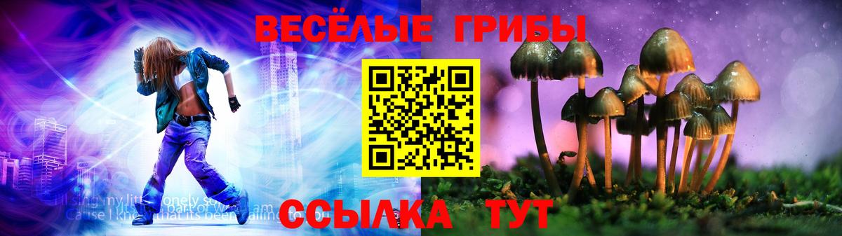 Галлюциногенные грибы Cubensis  Киреевск 
