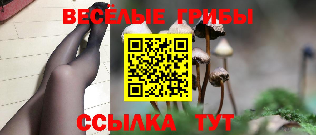 Киреевск  Псилоцибиновые грибы GOLDEN TEACHER  Вход с VPN 